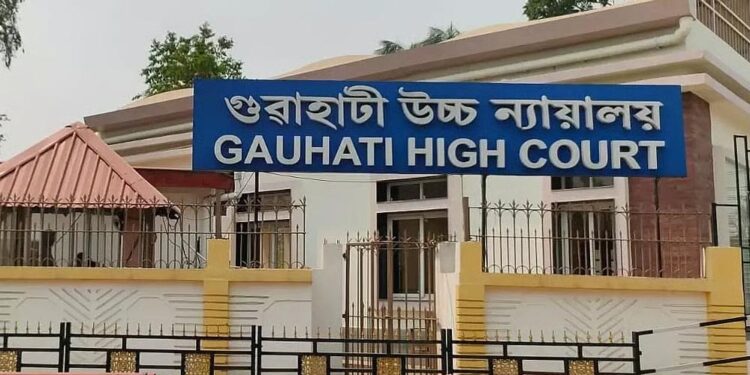 30 फरवरी बना मुसीबत! हाईकोर्ट ने मुस्लिम महिला की भारतीय नागरिकता पर उठाए सवाल