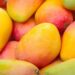 Japan Mango Ban: जापान ने भारतीय आमों पर लगाया बैन, जानिए वहां किस आम की सबसे ज्यादा डिमांड