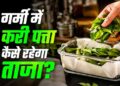 करी पत्ता स्टोर करने के आसान तरीके: महीनों तक रहेगा फ्रेश और हरा-भरा