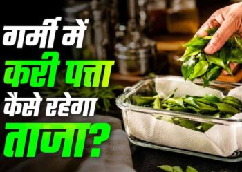 करी पत्ता स्टोर करने के आसान तरीके: महीनों तक रहेगा फ्रेश और हरा-भरा