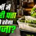 करी पत्ता स्टोर करने के आसान तरीके: महीनों तक रहेगा फ्रेश और हरा-भरा