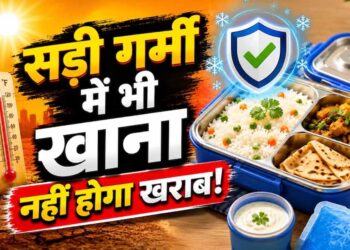 गर्मी में टिफिन पैकिंग गाइड: खाने को जल्दी खराब होने से बचाने के आसान तरीके