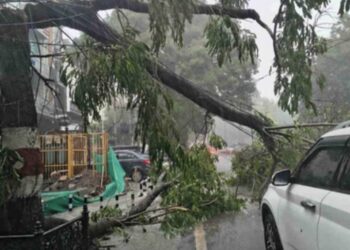 Dehardun Weather: मौसम ने दिखाए तीन रंग…डराया, सताया फिर दी राहत, झमाझम बारिश, तेज आंधी-तूफान से गिरे पेड़