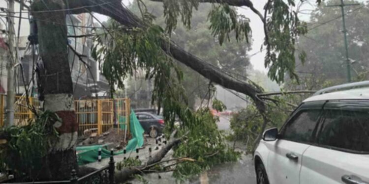 Dehardun Weather: मौसम ने दिखाए तीन रंग…डराया, सताया फिर दी राहत, झमाझम बारिश, तेज आंधी-तूफान से गिरे पेड़