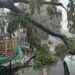 Dehardun Weather: मौसम ने दिखाए तीन रंग…डराया, सताया फिर दी राहत, झमाझम बारिश, तेज आंधी-तूफान से गिरे पेड़
