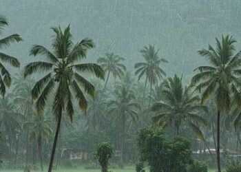 केरल में मॉनसून की रफ्तार धीमी, मौसम विभाग ने बताई देरी की वजह