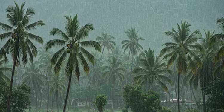 केरल में मॉनसून की रफ्तार धीमी, मौसम विभाग ने बताई देरी की वजह