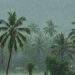 केरल में मॉनसून की रफ्तार धीमी, मौसम विभाग ने बताई देरी की वजह