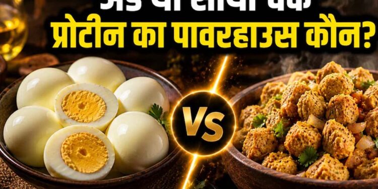अंडा vs सोया चंक्स: प्रोटीन के मामले में कौन है ज्यादा फायदेमंद, जानिए एक्सपर्ट्स की राय