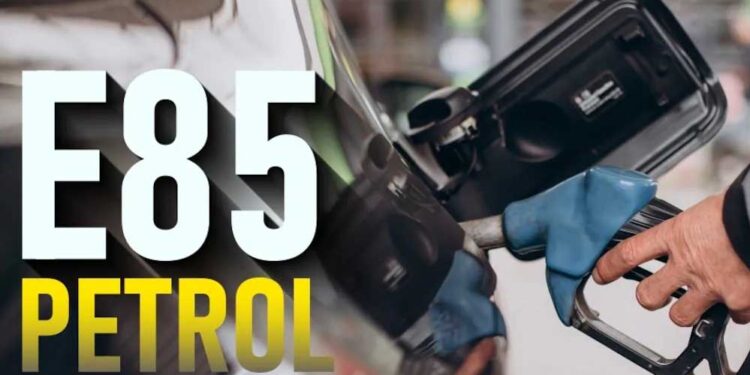 E85 पेट्रोल की होगी एंट्री, रेगुलर फ्यूल से सस्ता विकल्प; पेट्रोलियम मंत्री ने दिए संकेत