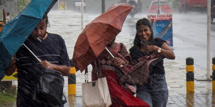 मॉनसून की धमाकेदार एंट्री! 12 राज्यों में झमाझम बारिश, यूपी-बिहार को भी जल्द मिलेगी राहत