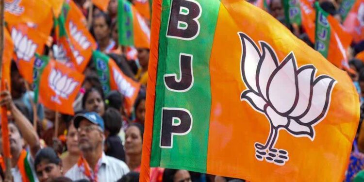 मंडी में BJP का दबदबा कायम, जिला परिषद और नगर निगम चुनाव में 36 में से 25 सीटों पर जीत