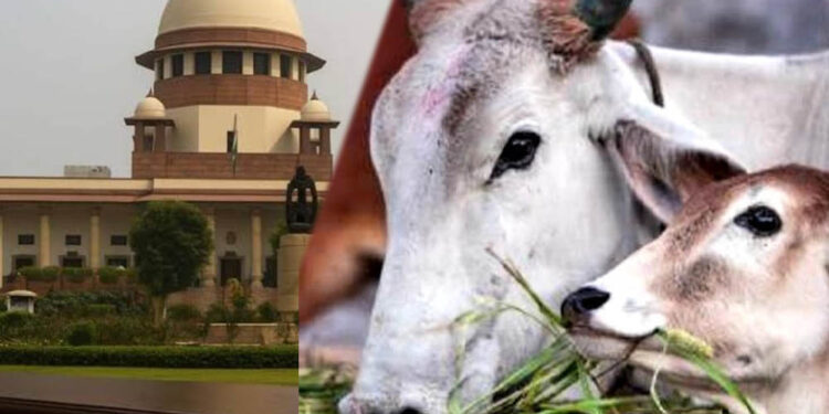 तमिलनाडु में गौहत्या मामले पर सुप्रीम कोर्ट का बड़ा फैसला, HC के आदेश पर रोक हटाई, राज्य सरकार को राहत