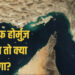 होर्मुज के बाद अब इस समुद्री रूट पर संकट की चेतावनी, कच्चे तेल की कीमत 200 डॉलर प्रति बैरल तक पहुंचने की आशंका