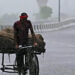Weather Alert: गुजरात से जम्मू-कश्मीर और यूपी तक IMD का रेड अलर्ट, कई जिलों में भारी बारिश की चेतावनी