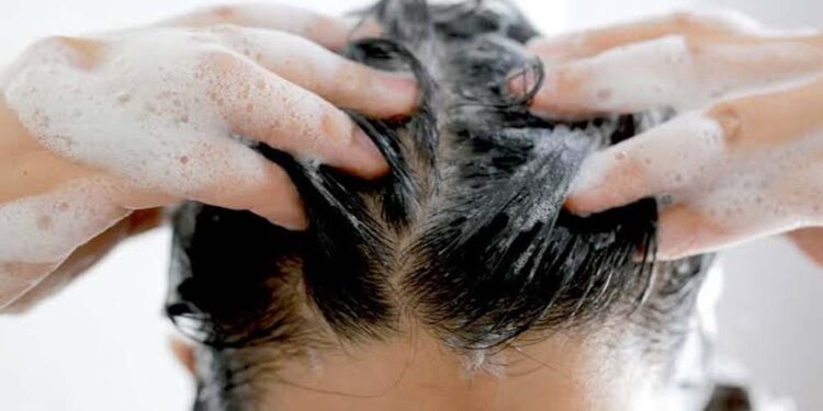 शैम्पू बदलने से नहीं रुकता हेयर फॉल? जानिए बाल झड़ने की असली वजह