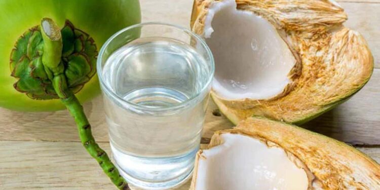 नारियल पानी महंगा पड़ रहा? गर्मी में हाइड्रेशन के लिए ये 5 सस्ते देसी ड्रिंक्स हैं बेहतरीन विकल्प