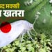 गन्ने में सफेद मक्खी के प्रकोप पर वैज्ञानिकों की सलाह: कीट नियंत्रण के लिए मौसम साफ होने पर करें छिड़काव…