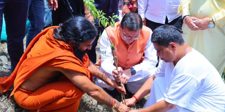 Uttarakhand News- हरेला पर्व: CM धामी ने किया पौधरोपण, दिया हरित उत्तराखण्ड और पर्यावरण संरक्षण का संदेश…..