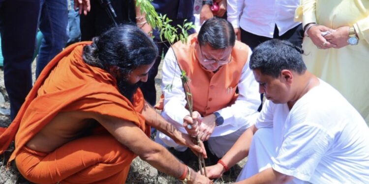 मालाग्राम में सीएम धामी ने किया पौधरोपण, ध्यान कुटी का निरीक्षण कर विकास कार्यों का लिया जायजा