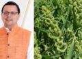 Uttarakhand News: CM धामी का बड़ा दावा: कहा नहीं, करके दिखाया… उत्तराखंड में लागू की स्टेट मिलेट पॉलिसी…..