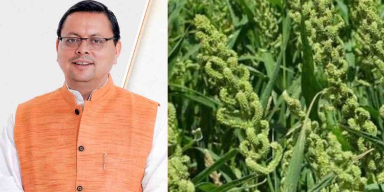 Uttarakhand News: CM धामी का बड़ा दावा: कहा नहीं, करके दिखाया… उत्तराखंड में लागू की स्टेट मिलेट पॉलिसी…..