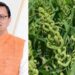 Uttarakhand News: CM धामी का बड़ा दावा: कहा नहीं, करके दिखाया… उत्तराखंड में लागू की स्टेट मिलेट पॉलिसी…..