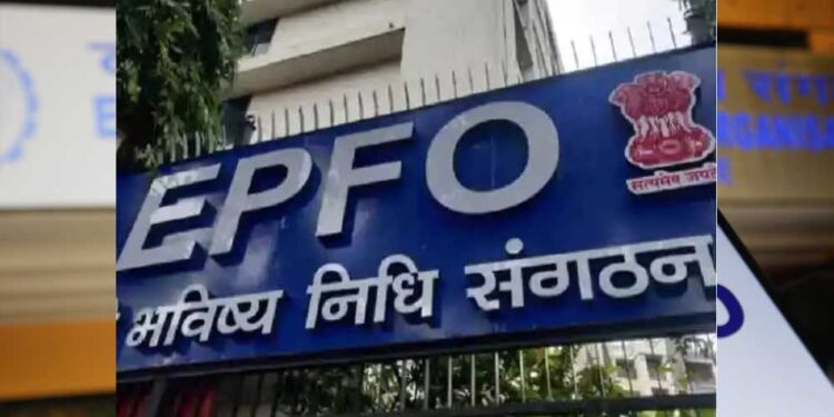 EPFO का बड़ा अपडेट! UAN Activation का तरीका बदला, वेबसाइट फिर हुई शुरू; जानिए नए नियम और सुविधाएं