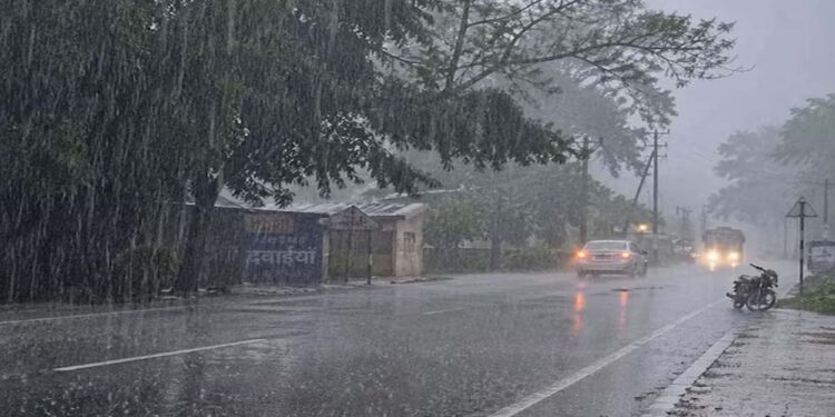 Weather Update 31 July: मॉनसून ने पकड़ी रफ्तार, यूपी-बिहार समेत 15 राज्यों में झमाझम बारिश का अलर्ट