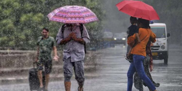 कल का मौसम: दिल्ली-यूपी से बिहार और गुजरात तक बारिश का अलर्ट, 24 राज्यों के लिए IMD की चेतावनी