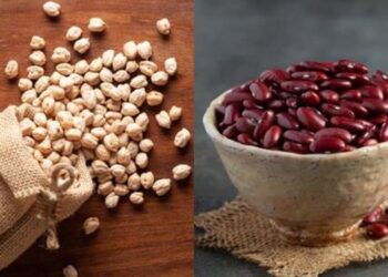 प्रोटीन के लिए राजमा, छोले या काला चना, जानिए किसमें सबसे ज्यादा प्रोटीन