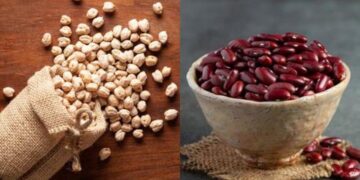 प्रोटीन के लिए राजमा, छोले या काला चना, जानिए किसमें सबसे ज्यादा प्रोटीन