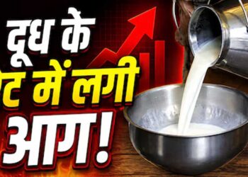 त्योहारों से पहले महंगाई का झटका! दूध के दाम सीधे ₹9 बढ़े, जानें नई कीमतें कब से लागू