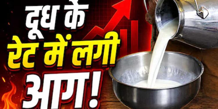 त्योहारों से पहले महंगाई का झटका! दूध के दाम सीधे ₹9 बढ़े, जानें नई कीमतें कब से लागू