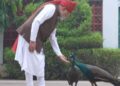 PM मोदी ने शेयर किया खास वीडियो, गायों को चारा और मोरों को खिलाया दाना