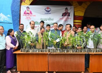 किसानों की आय बढ़ाने पर जोर, बुरांशखंडा में मुफ्त बीज वितरण