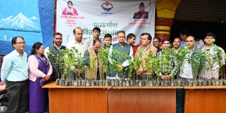किसानों की आय बढ़ाने पर जोर, बुरांशखंडा में मुफ्त बीज वितरण