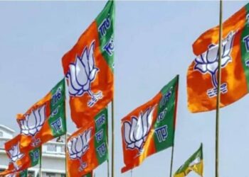 गांवों में जनसेवा और संवाद को धार देगा भाजपा का एनजीओ प्रकोष्ठ, हर रविवार चलेगा अभियान