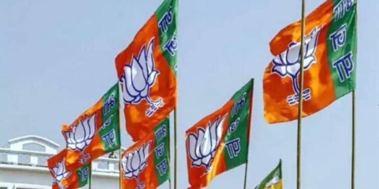 गांवों में जनसेवा और संवाद को धार देगा भाजपा का एनजीओ प्रकोष्ठ, हर रविवार चलेगा अभियान