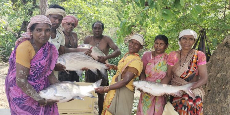 विष्णु भैया की पहल से तालाब बना महिलाओं की तरक्की का आधार, मछली पालन से सशक्त हुईं मनोरा और दुलदुला की महिलाएं, लाखों की आय से बदली जीवन की तस्वीर…..