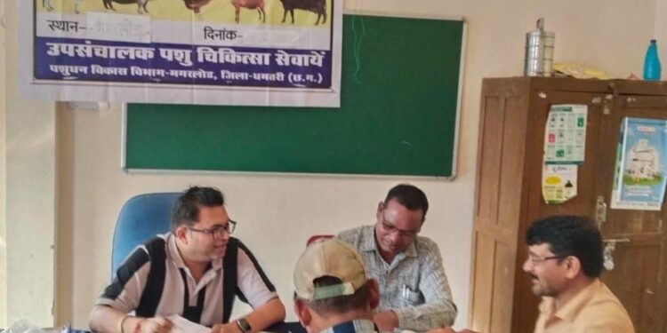 पशुपालन केसीसी से धमतरी के 93 पशुपालकों को मिली 98.62 लाख की वित्तीय संजीवनी,  ग्रामीण आजीविका को मिली नई उड़ान…..