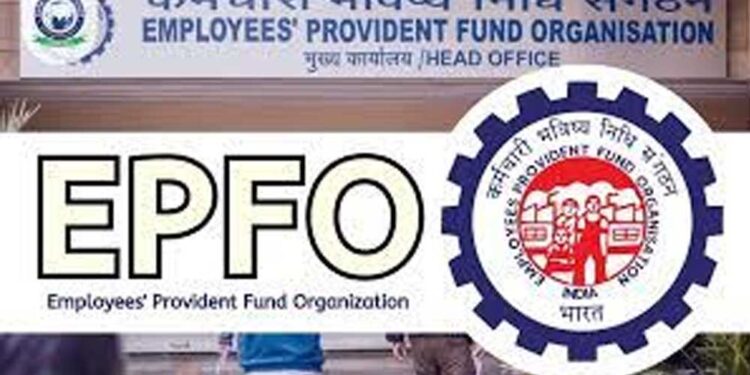 EPFO का बड़ा नियम: नौकरी छूटते ही निकाल सकेंगे PF का 75% पैसा, जानें पूरी प्रक्रिया