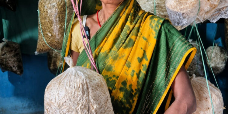 विष्णु के सुशासन में गांव की बेटियां बन रहीं आत्मनिर्भर, बबली यादव ने फोटो कॉपी, मशरूम और महुआ व्यवसाय से बढ़ाई आय…..
