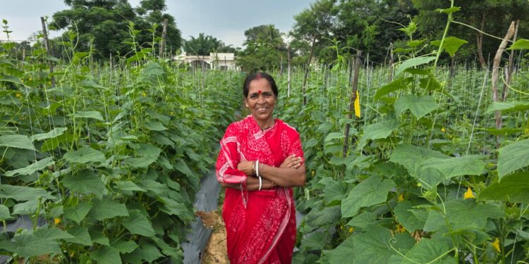 बिहान से बहनों को मिला आर्थिक संबल, खीरे की खेती से सुभद्रा मंडल ने लिखी आत्मनिर्भरता की नई कहानी….