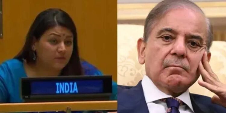 UN में भारत का पाकिस्तान को करारा जवाब, पेटल गहलोत बोलीं- आतंकवाद के गंभीर परिणाम होंगे
