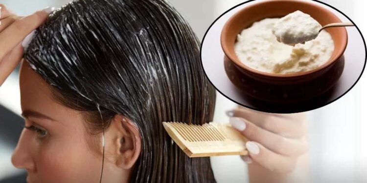 बालों की चमक और सॉफ्टनेस के लिए लगाएं दही, इन 3 तरीकों से करें इस्तेमाल
