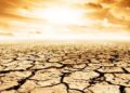खतरे की घंटी! 2100 तक 40% धरती बन सकती है रेगिस्तान, इंसानों से लेकर पेड़-पौधों तक पर मंडराएगा संकट