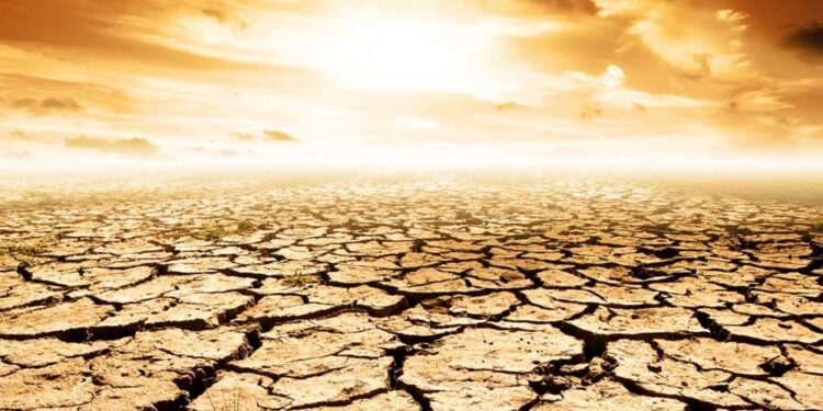 खतरे की घंटी! 2100 तक 40% धरती बन सकती है रेगिस्तान, इंसानों से लेकर पेड़-पौधों तक पर मंडराएगा संकट
