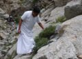 राष्ट्रपति भवन के 620 पौधों का भी रिकॉर्ड, पतंजलि ने संरक्षित किए 27 हजार से ज्यादा पादप नमूने।