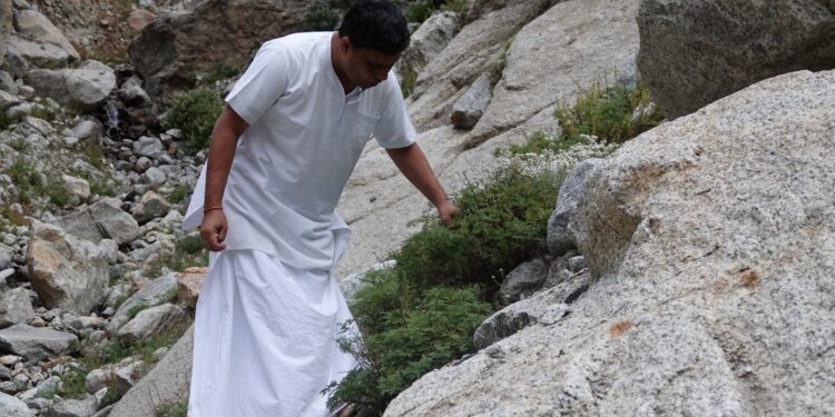राष्ट्रपति भवन के 620 पौधों का भी रिकॉर्ड, पतंजलि ने संरक्षित किए 27 हजार से ज्यादा पादप नमूने।